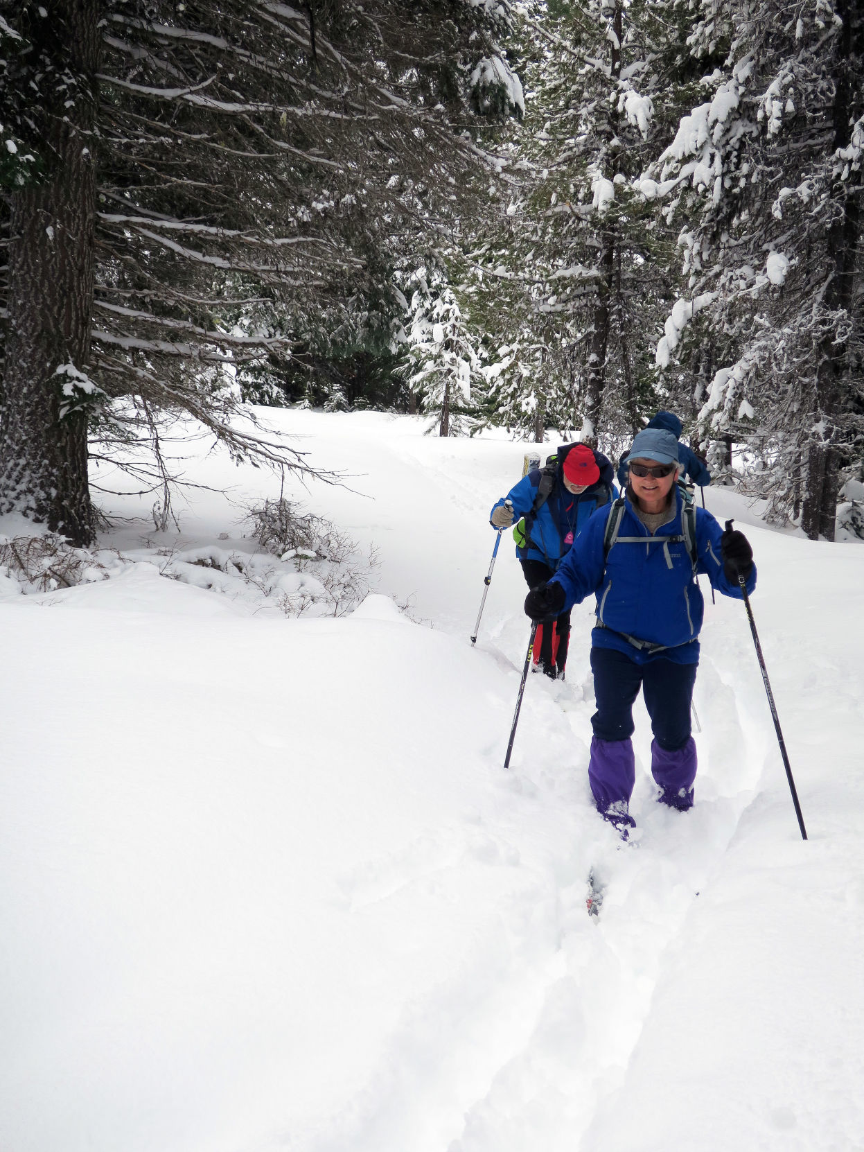 Cross country skiers